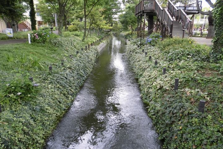 園内の水路